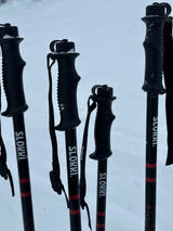 RocAlpes Nordic Vario Vasa XL SS RT857 Bâtons télescopique 130-180cm RocAlpes Nordic Vario Vasa XL SS RT857 Bâtons télescopique 130-180cm